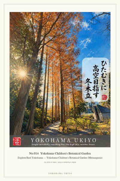 No.014 Yokohama Children's Botanical Garden Metasequoia, YOKOHAMA UKIYO artwork
